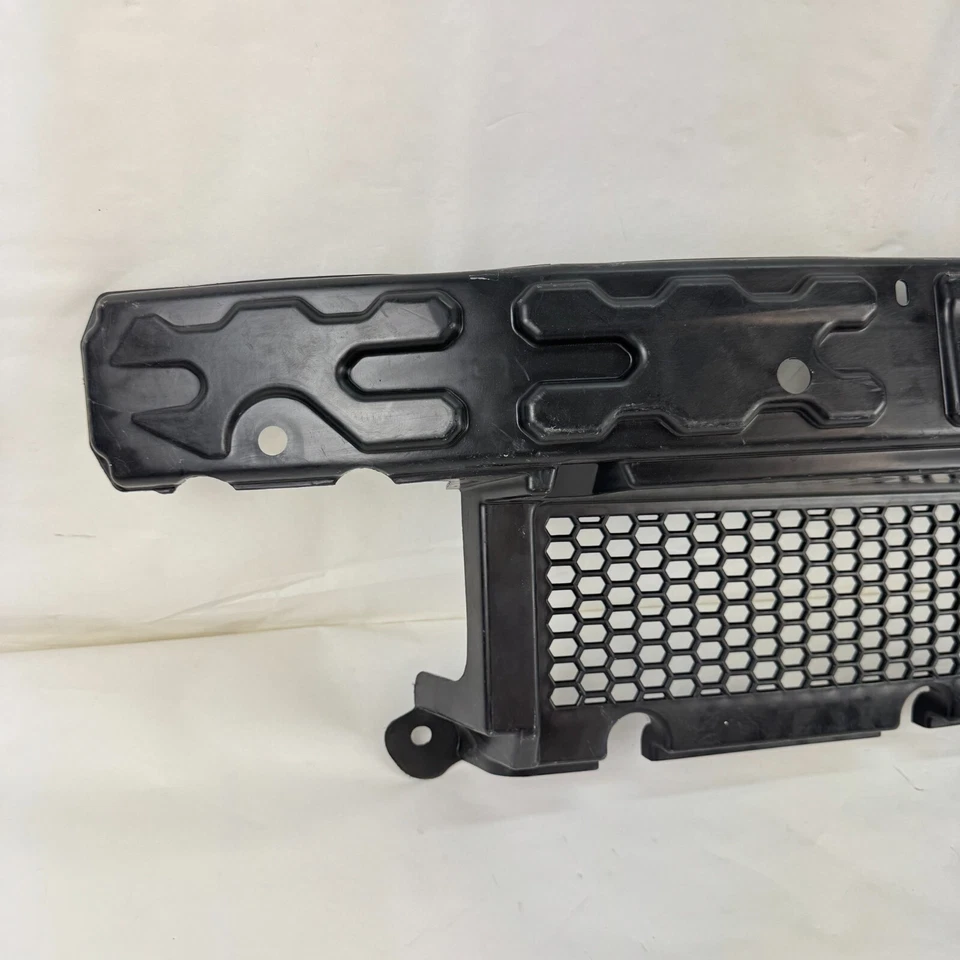 Dodge Grand Caravan Town & Country 2008-2010 amortiguador de energía delantero 5113168AA Foto 3 de 4