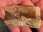 The Good Old Stuff: Landscape Jasper /Lot 11 — photo 2
