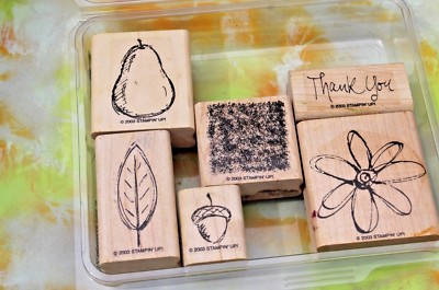 Stampin' Up All Natural 2003 Pear Acorn Thank you Set of 6 FREE SHIPPING!