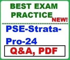 PSE-Strata-Pro-24 Networks Systems Engineer Professional - BEST Exam Q A -2026