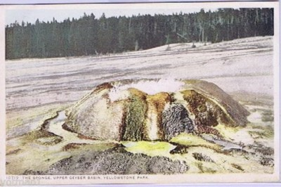 #ad #ad The Sponge Upper Geyser Basin Yellowstone Park Phostint PC #10719 ca 1909 $7.64