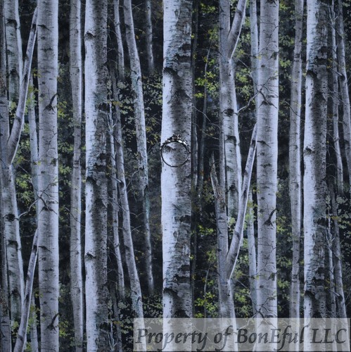 BonEful Fabric FQ Cotton Quilt Black White Birch Tree B&W Brown Green Fall Leaf - Afbeelding 1 van 12