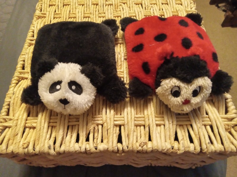dog toy