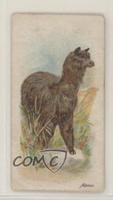 1900 BAT Wild Animals of the World Tobacco Player's Back Alpaca 7ut