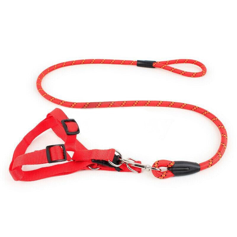 Pet Dog Collar Lead Training Leash Safety Collars S M L Halter Nylon eBay