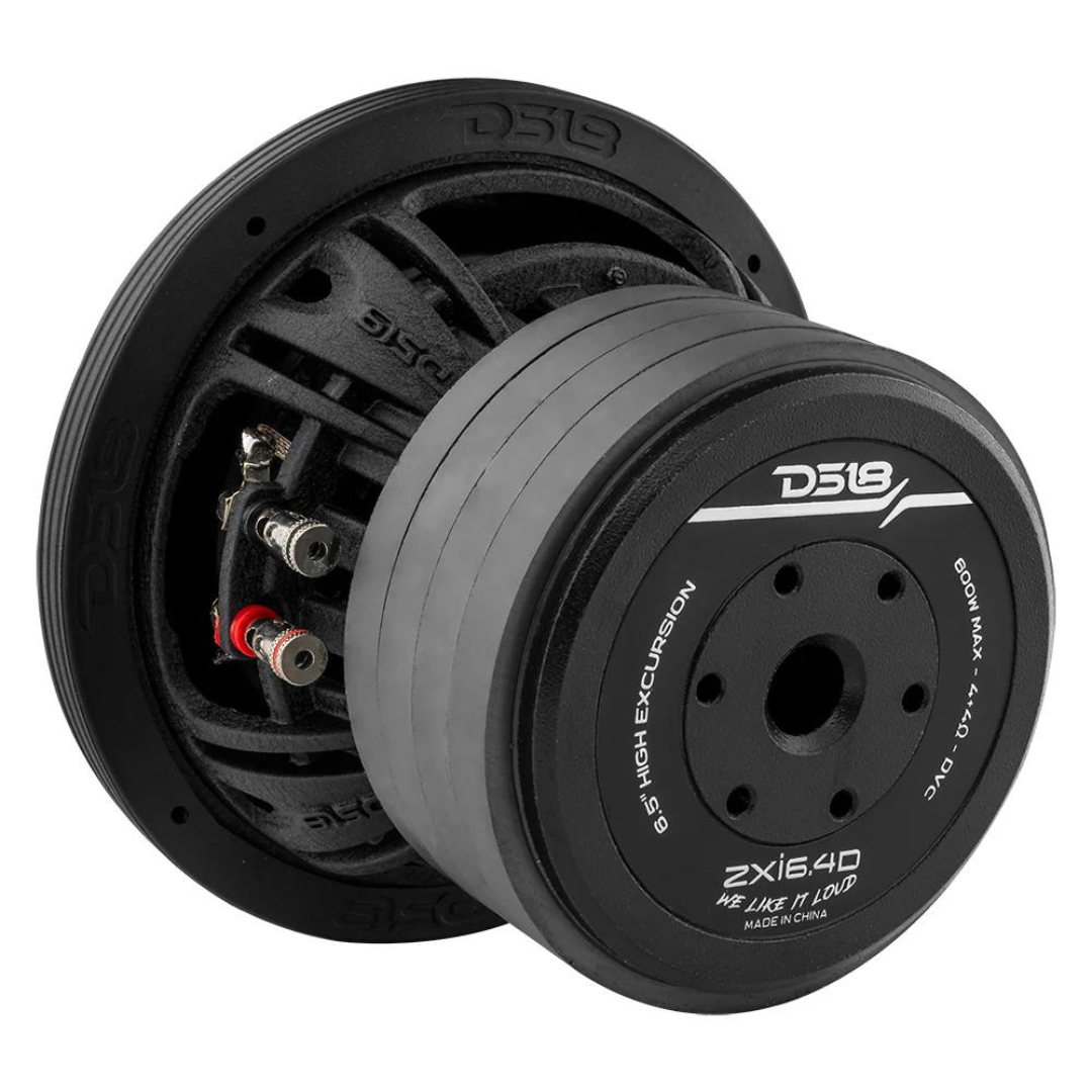 2x DS18 6.5