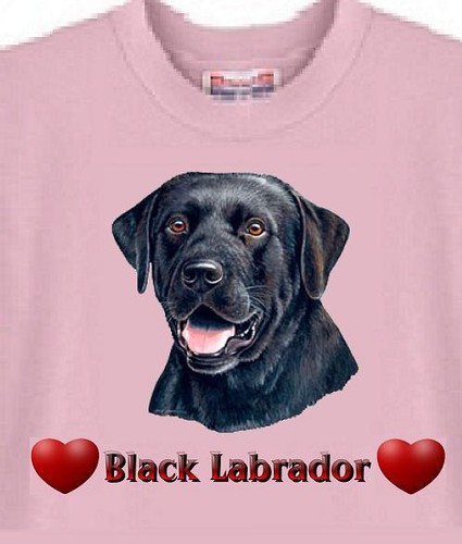 Dog T-Shirt Men Women - Black Labrador -- Also Sweatshirt Available - Picture 2 of 6