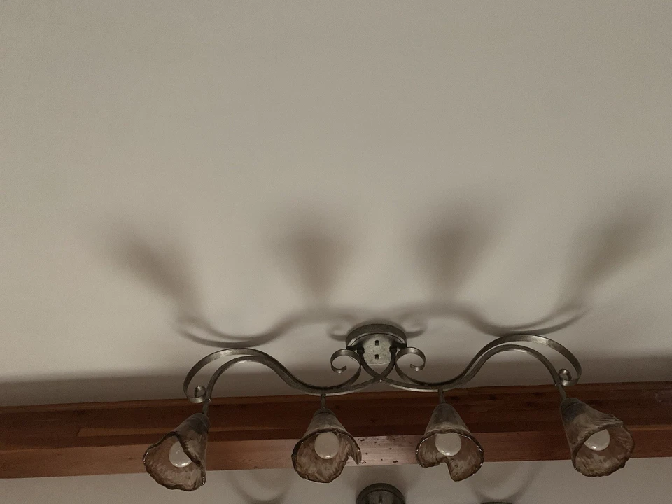 Organic Amber Glass 4-Light Ceiling Track Fixture - Pro Track Local Pickup!!! - Image 3 of 4