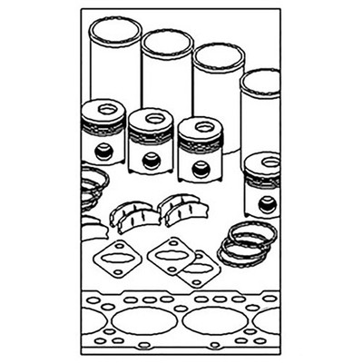 Major Engine Overhaul Kit w/ STD Bearings Fits 200LC 200LD 200LL 230LC 270CLC