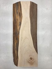 22" Very Cool Unique Thick Silver Maple Lumber Wood Kiln Dried Board Slab