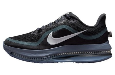 Size 10.5 Mens Nike Pegasus Premium Running Shoes Anthracite Platinum HQ2592-006