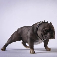 1/6 Scale Bully Dog Model Cute Pet Funny Animal Figurine Ornament Collectibles
