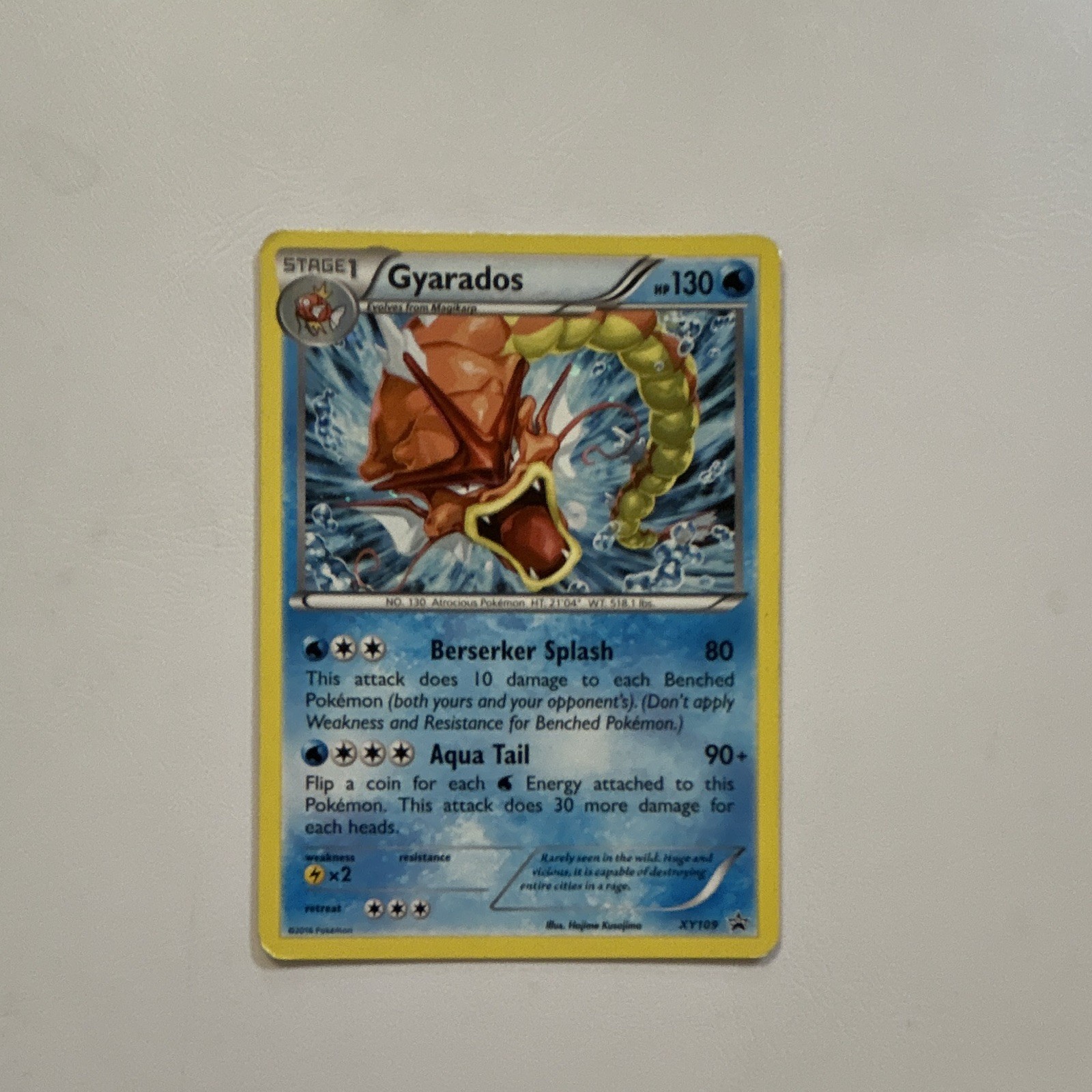 Pokemon Gyarados TCG XY Promos Holo Card XY109
