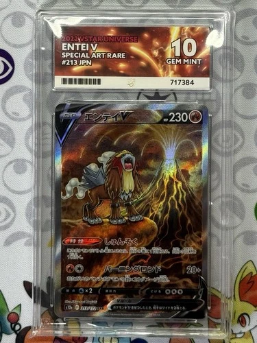 Pokemom TCG Entei V 213/172 Japanese ACE 10