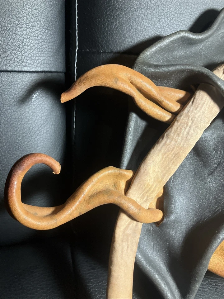 De Colección Única Elegante Cuero Real Mascarada Mazatlán FIRMADA Máscara Arte Halloween Foto 2 de 4