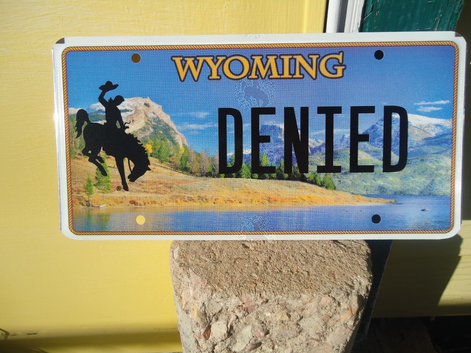 Colorful 2020 Wyoming Vanity License Plate DENIED eBay