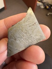 19.6g NWA 17094 IAB-sHL iron meteorite part slice- rare subtype!!!