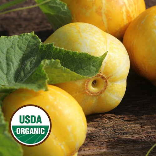 50 Organic Lemon Cucumber Seeds - Everwilde Farms Mylar Seed Packet - Picture 3 of 3