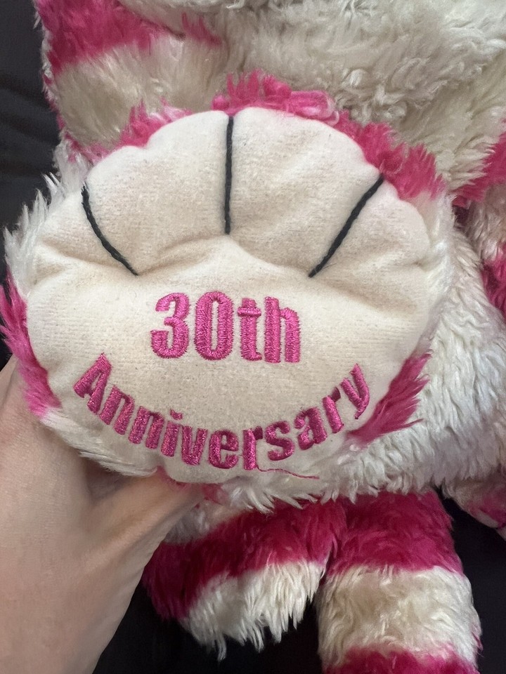 30th Anniversary Bagpuss Cat 17” Soft Plush Hot Water Bottle Cover