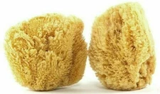 Lot (2) 6"-7" Natural Ocean Sea Sponge Bath Body Shower Washing Spa Loofah NEW
