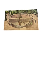 Bern Zoo Bear Bärengraben 1903 Swiss Postcard