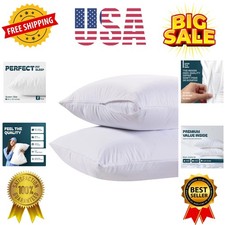 Pillow Cases Queen Size Set of 2 - 20 x 30 Ultra-Soft Queen Pillow Protectors...