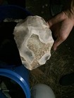 Bild 10 von 11