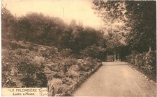 CPA Carte postale Belgique Lustin sur Meuse La Palombière 1952 VM69469ok