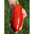 Seeds Tomato Pepper Type Red Long Vegatable NON-GMO Organic Heirloom