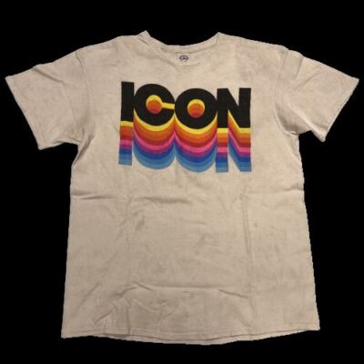 Vintage Mens Novelty T-Shirt White w 60s Themed ICON Text Crew