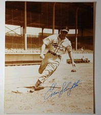 St. Louis Cardinals Collecting and Fan Guide 81