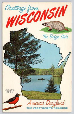 #ad Greetings from Wisconsin State Outline Badger Robin America#x27;s Dairyland Postcard $4.75
