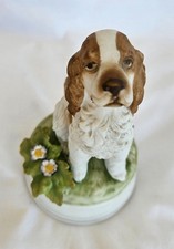  on The Hot Collector