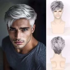 8in Men Short Wig Male Gray Full Wig Synthetic Hair Cosplay Gentleman