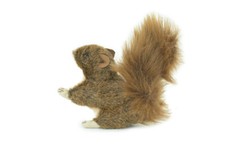 Squirrel Finger Puppet, Plush Red Squirrel, Stuffed, Realistic, 5" FM19 B236