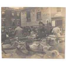 WATFORD Market Place at the Rose and Crown Hotel - Antique Photograph c1905