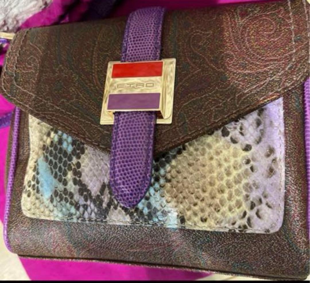 ETRO Python Snake Pattern Mini Shoulder Bag Brown… - image 4