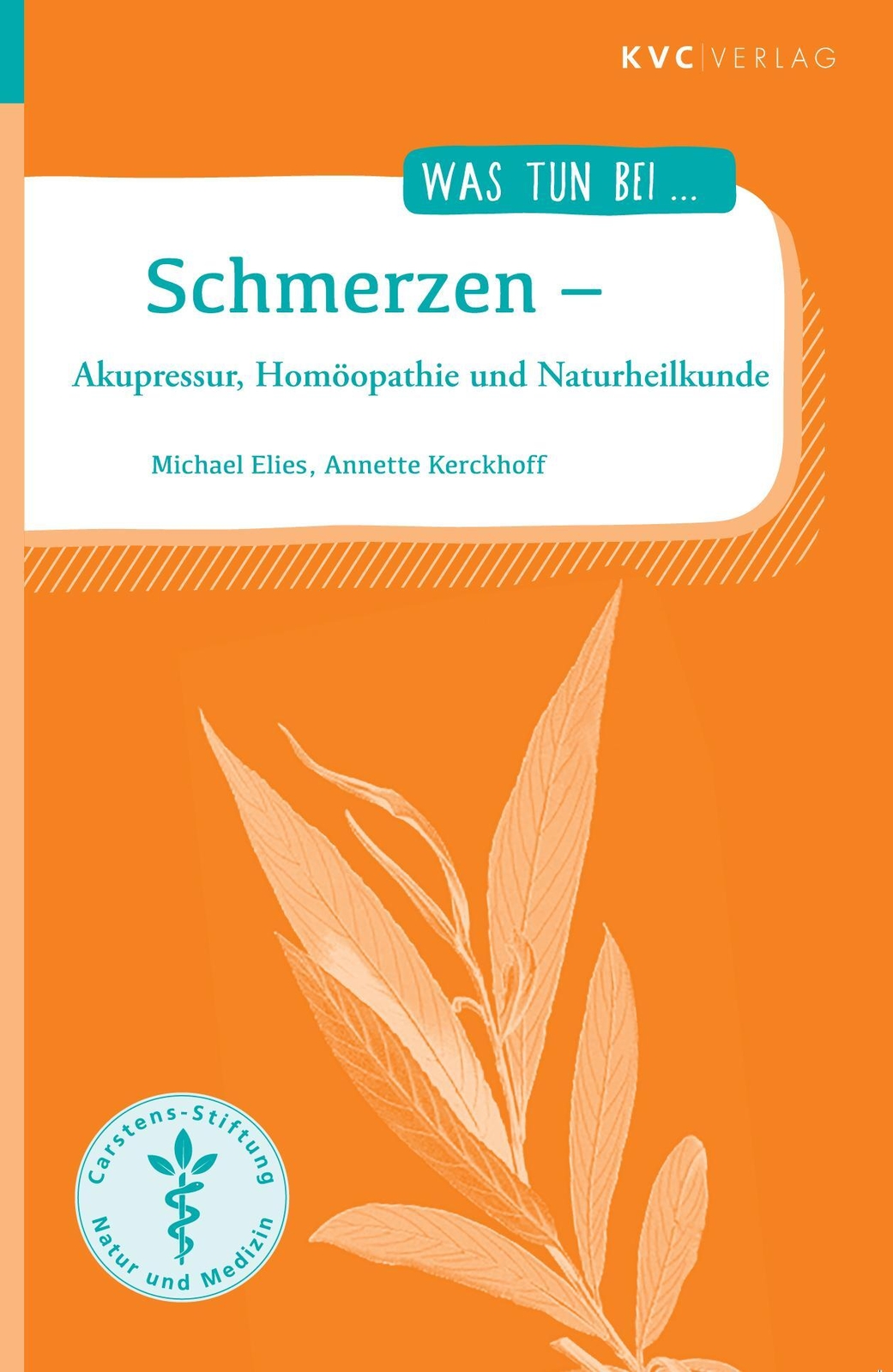 Thumbnail - Michael Elies (u. A.) | Schmerzen | Taschenbuch | Deutsch (2019) | Was