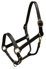 Dark Brown Triple Ply Leather Horse Size Halter Brass Hardware FREE SHIPPING 