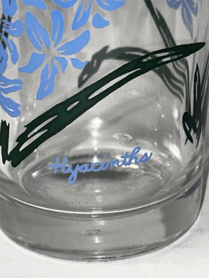 Vintage Boscul Peanut Butter Flower Drinking Glasses 5” Set 8 W