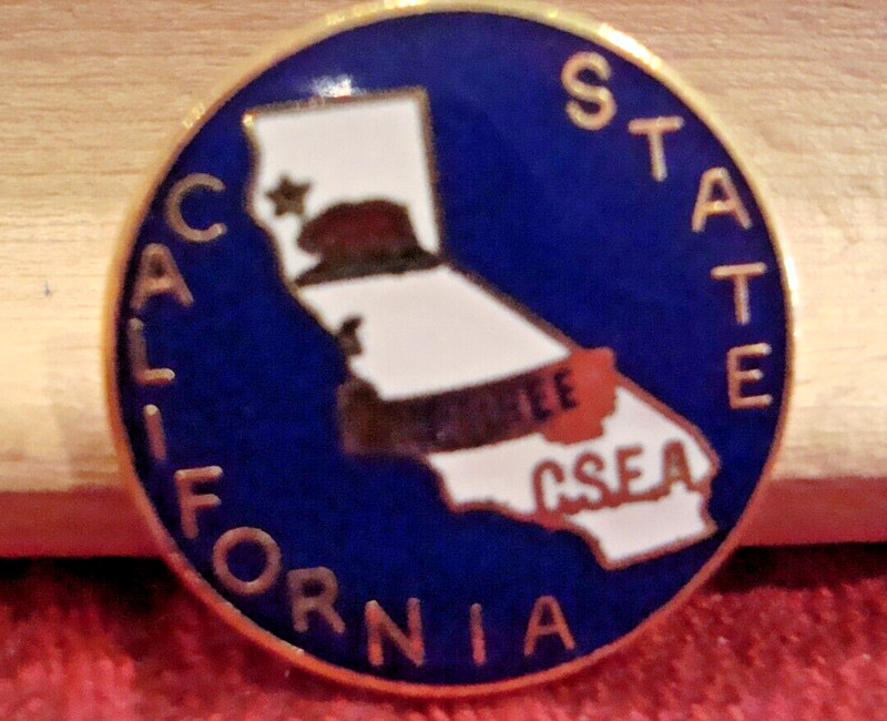 California State CSEA Retiree Pin - State Employee