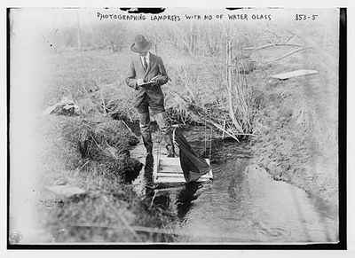 #ad Field photographer in stream using water glass to photograph lampreys $12.99