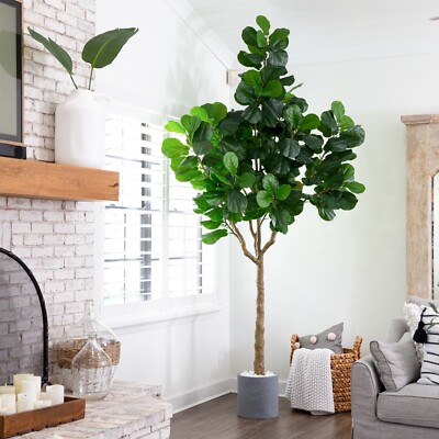 10  Artificial Fiddle Leaf Fig Tree Home Decor. Retail $379