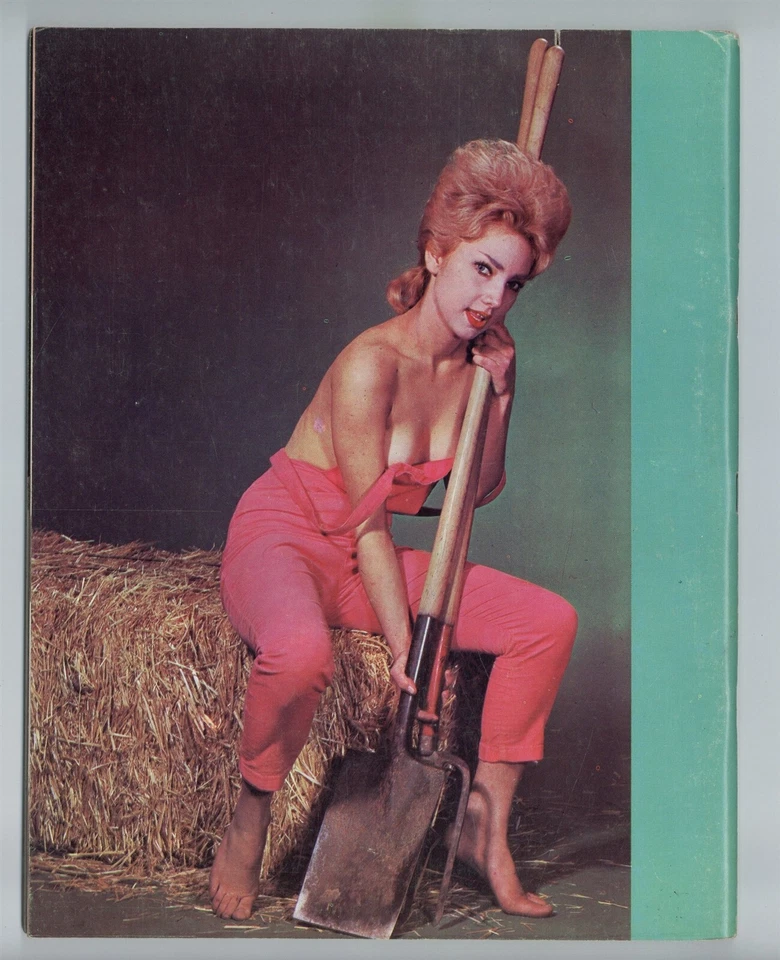 Wow V2#1 Terry Higgins 1963 Jane Brinkman, June Wills 80pg Pinup Magazine M35378 Foto 2 de 2
