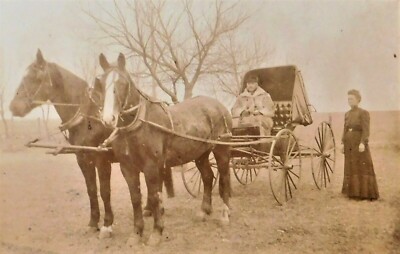 ANTIQUE LATE 1800's CABINET PHOTO HORSE DRAWN CARRIAGE W/ MAN