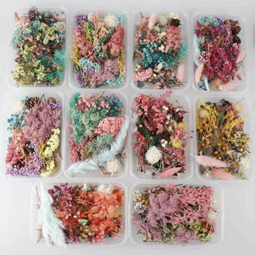 1Box Real Dried Flowers For DIY Art Craft Epoxy Resin Pendant Jewellery Making - Afbeelding 1 van 6