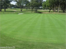 Penncross Bentgrass Seed - 2 Lbs.