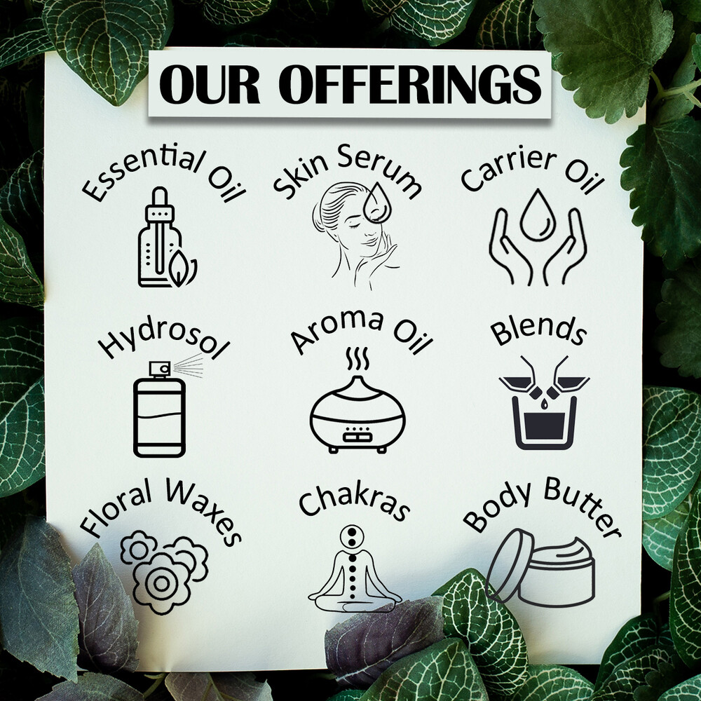 Vanilla Essential Oil 100% Natural (Vanilla Planifolia) for Aromatherapy Skin