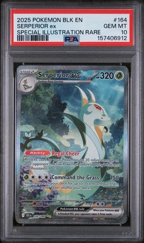 Serperior EX SIR 164/086 Black Bolt EN Pokemon 2025 PSA 10 Gem Mint