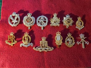 Twelve British Army Anodised Staybright Cap Badges QC Job Lot Qty x12